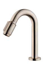 Caral Victoria faucet 1/2'' brushed steel PVD