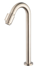 Caral Victoria XL 1/2'' brushed steel PVD kitchen mixer tap