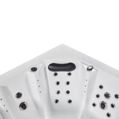 AWT Swim-SPA Innovation 590 Dual weiß 590x235 grau