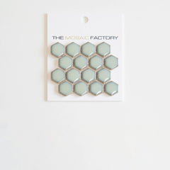 The Mosaic Factory Barcelona Mozaiek Tegel Hexagon - Licht groen met rand Porselein Geglazuurd 260x300 mm