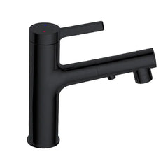 Best Design Asproli wastafelkraan met uittrekbare sproeiuitloop zwart mat