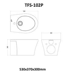 StoneArt Wandbidet TFS-102P - wit glanzed - 52x37