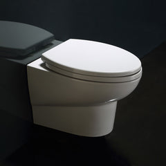 EAGO WC Hänge-WC WD379P