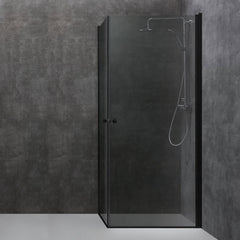 AWT Duschabtrennung LCS1000-B schwarz 100x100