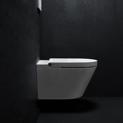 Clou Clever douche wc - turboflush - softclose zitting - Glans wit