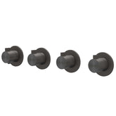 IVY Tribe Afbouwdeel - voor Inbouwthermostaat - 3 stopkranen - symmetry - ronde rozetten - RVS316