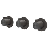 IVY Tribe Afbouwdeel - voor Inbouwthermostaat - 3 stopkranen - symmetry - ronde rozetten - RVS316
