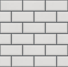 The Mosaic Factory Paris Mozaiek Tegel Rechthoek- Licht Grijs Porselein Geglazuurd 291x296 mm