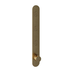 Hotbath Cobber PB050EXT afbouwdeel voor inbouw thermostaat met 3 pushbuttons - Geborsteld Messing