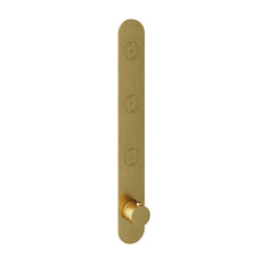Hotbath Cobber PB050EXT afbouwdeel voor inbouw thermostaat met 3 pushbuttons - Geborsteld Messing PVD