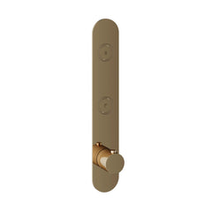 Hotbath Cobber PB066EXT afbouwdeel voor inbouw thermostaat met 2 pushbuttons - Geborsteld Messing PVD