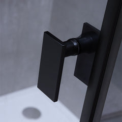 AWT Duschabtrennung LAS1000-B schwarz 100x100 rechts