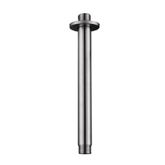 304 douchearm met plafondbevestiging rond 20 cm RVS