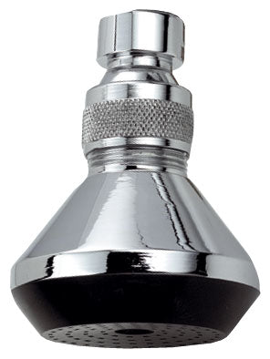 Shower head with ball joint 1/2" chrome