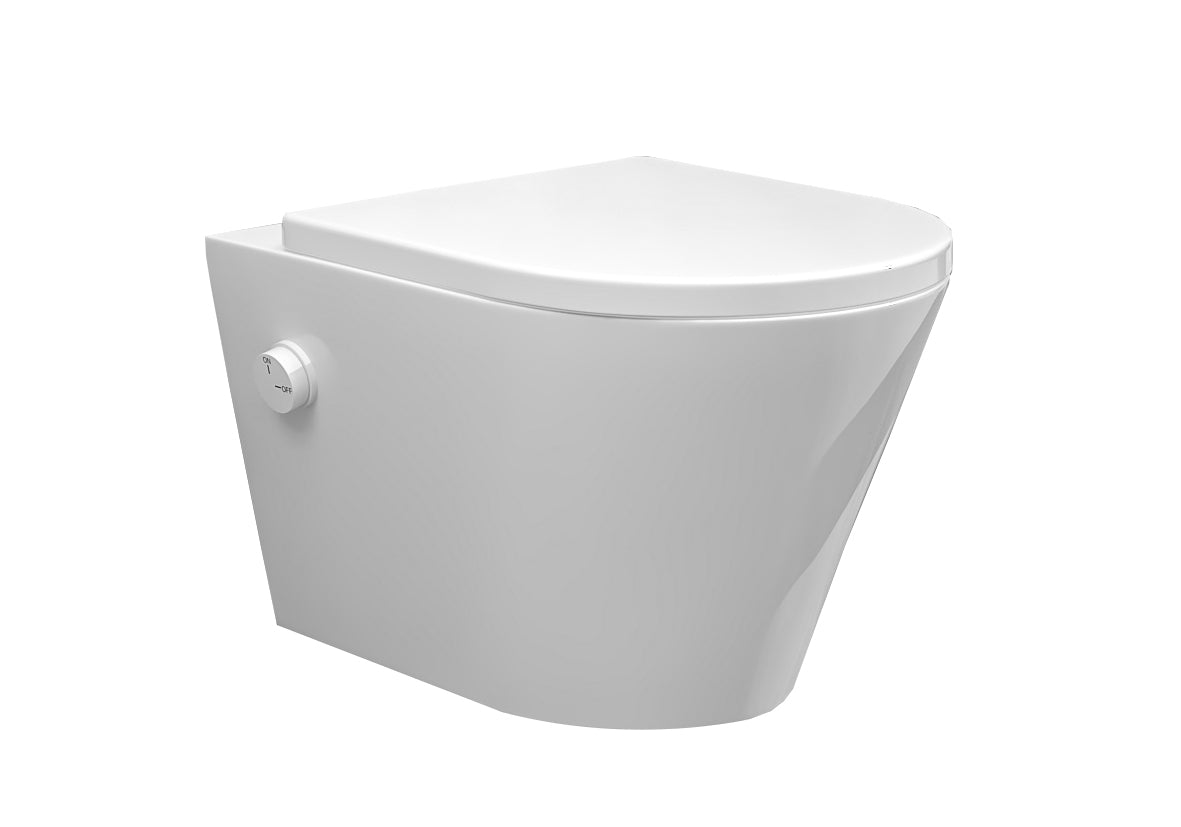 Vesta rimless wall-hung toilet with cold water bidet tap and Shade slim toilet seat matt white