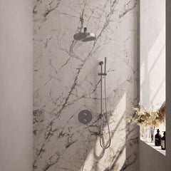 Brauer Stripe inbouw regendoucheset rond - rechte wandarm - staafhanddouche - glijstang - geborsteld RVS PVD