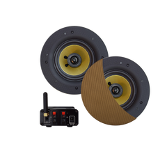 BLUETOOTH AUDIOSYSTEEM (70 WATT / BT4.0 / AUTO-AUX)  MET ZUMBA SPEAKERSET (BRUSHED GOLD), 230V/24V