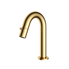 Hotbath Cobber Fonteinkraan - opbouw - u-uitloop 11.8cm - PVD