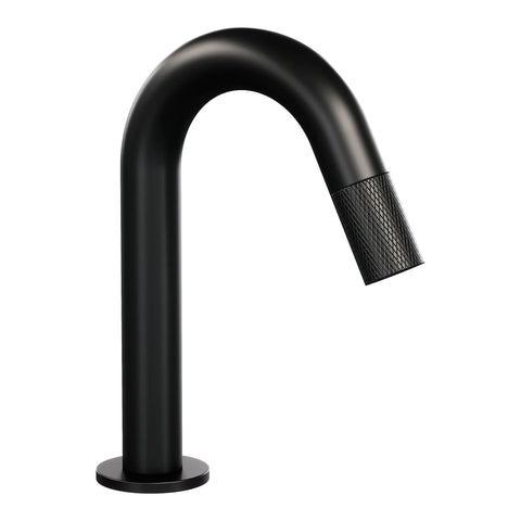 BRAUER Black Carving opbouw fonteinkraan met gebogen uitloop mat zwart