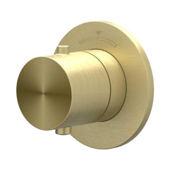 IVY ConcordAfbouwdeel - voor Inbouwthermostaat - Symmetry - rond rozet - RVS316