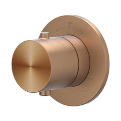 IVY ConcordAfbouwdeel - voor Inbouwthermostaat - Symmetry - rond rozet - RVS316