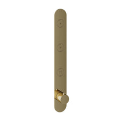 Hotbath Cobber PB050EXT afbouwdeel voor inbouw thermostaat met 3 pushbuttons Gepolijst Messing